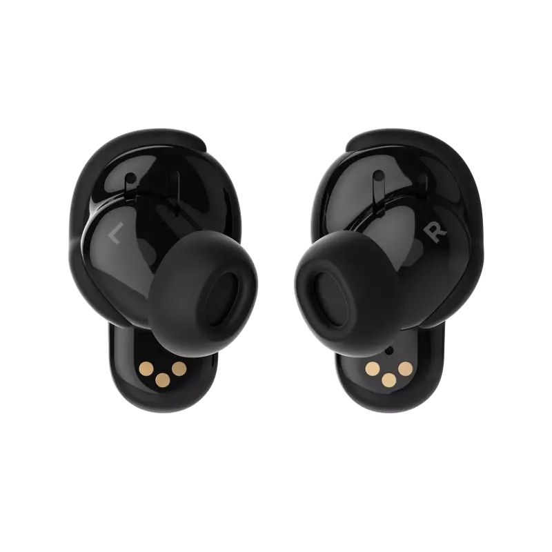 Black earbuds (inner)